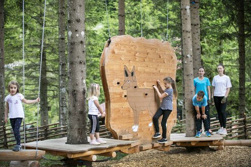 Dem Fuchs auf der Spur