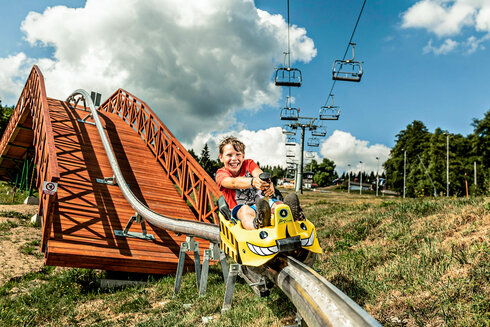 MOUNTAIN COASTER: KLÍNY