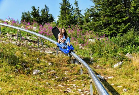 Mountain Coaster Durau