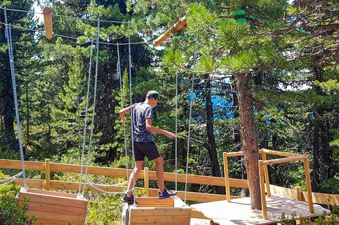 Widiversum Teil III.